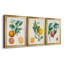 " Orange De Malte " 3 - Pieces-128133202-128133203