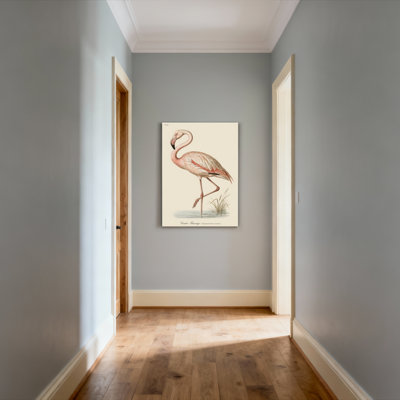 Ensemble de 1 tableau sur toile tendue représentant un flamant rose, style vintage, inspiré de l'histoire naturelle.