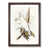 Walnut Framed