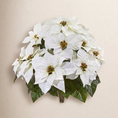 Poinsettia Arrangement