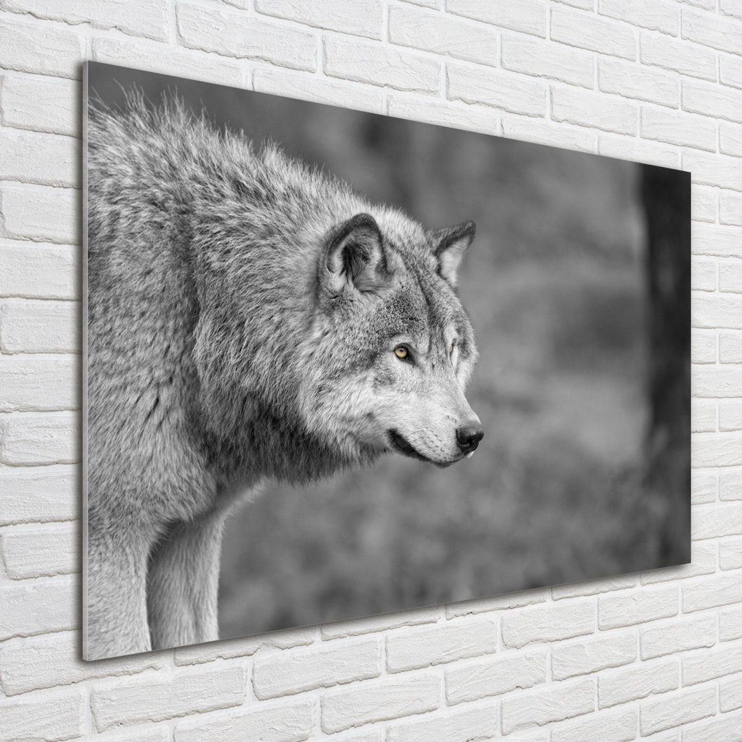 Glasbild Grauer Wolf