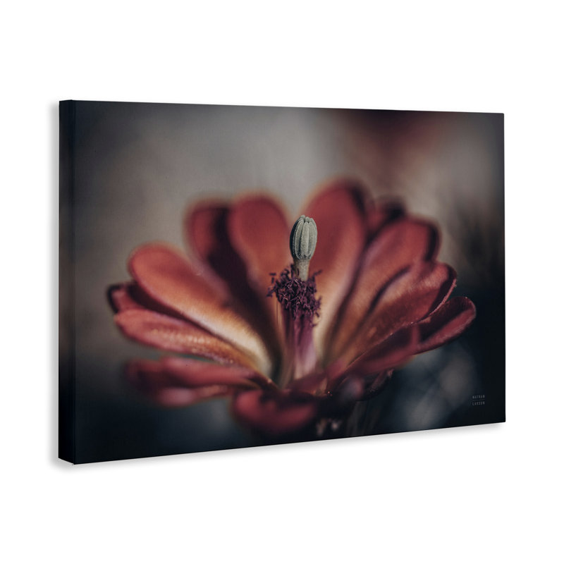 «Red Elevation Bloom», art mural sur toile par Nathan Larson, H 30 po x l 45 po