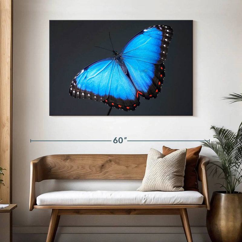 Brampt Blue Morpho Butterfly, 32" H x 48" W
