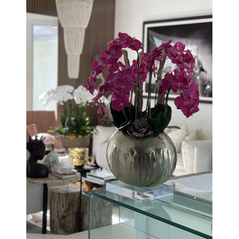 Olympian Phalaenopsis Orchids Centerpiece in Planter, Pink, Gold
