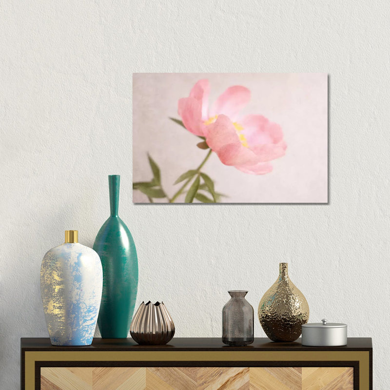 Soft Petals by Sarah Gardner - Gallery-Wrapped Canvas Giclée on Canvas, 30.48 cm H x 45.72 cm W, Canvas