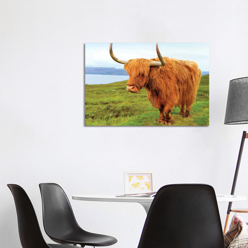 Highland Cow I by Susanne Kremer - Gallery-Wrapped Canvas Giclée on Canvas, Canvas, 101.6 cm H x 66.04 cm W x 1.91 cm D