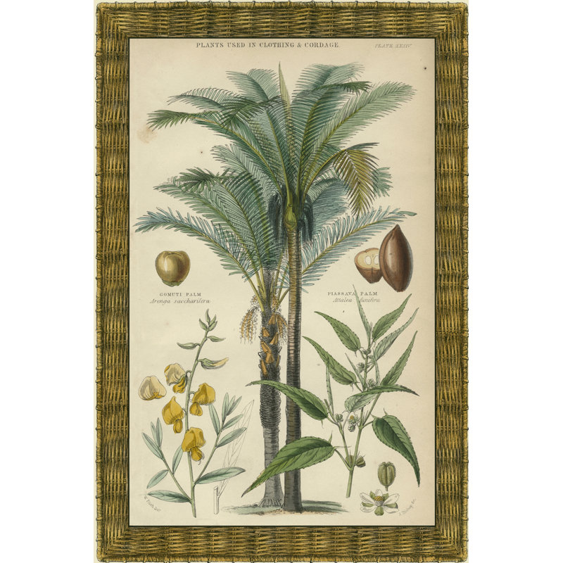 Palm Plate 29 (IP) - Wrapped Canvas Art Prints, 46cm H x 30cm W x 3.8cm D