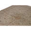 Wool Oriental Area Rug