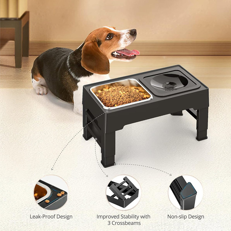 Elevated Feeder