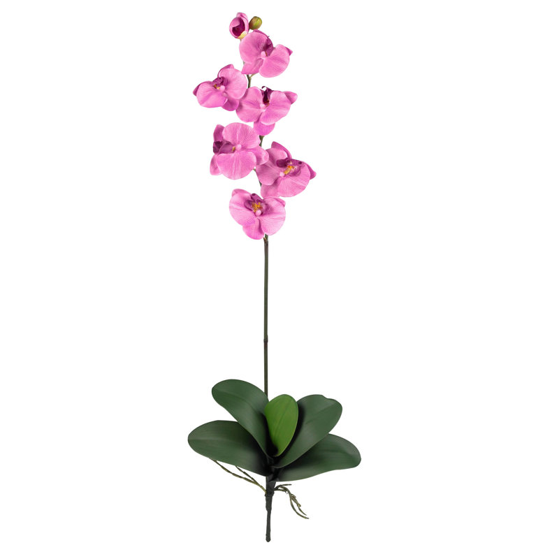 Vaporisateur d'orchidée en soie Phalaenopsis