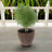 Boisdale Pebbled 15.75" x 15.75" x 14" Round Brown Polyresin Outdoor Planter Pot-2139960474