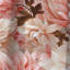 Panneaux de rideaux floraux roses et blancs avec œillets en fleurs-95458348
