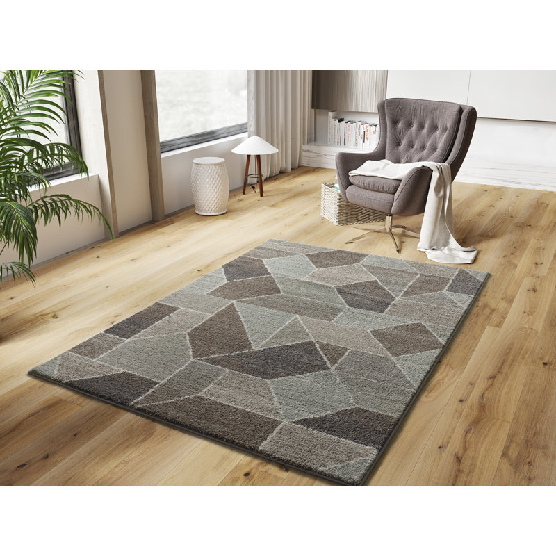 Mappsburg Geometric Area Rug, Rectangle 160 x 235cm