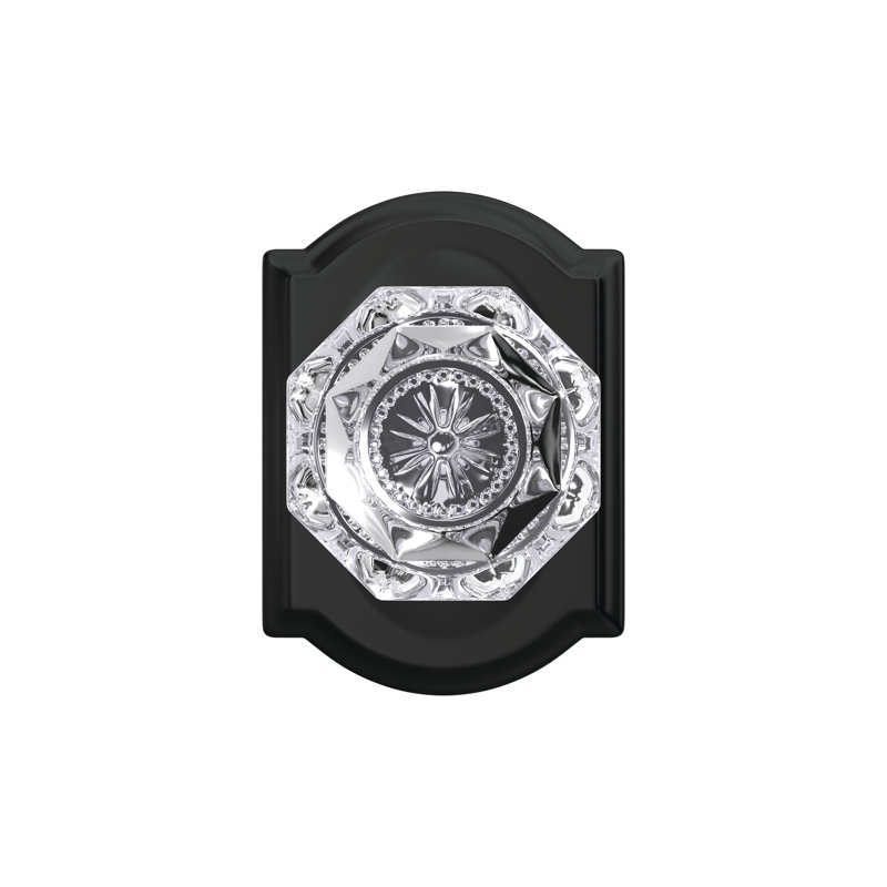 Alexandria Hall-Closet and Bed-Bath Glass Knob with Camelot Trim, Matte Black