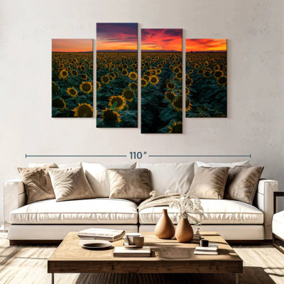 Alvord Sunflower Field Rows