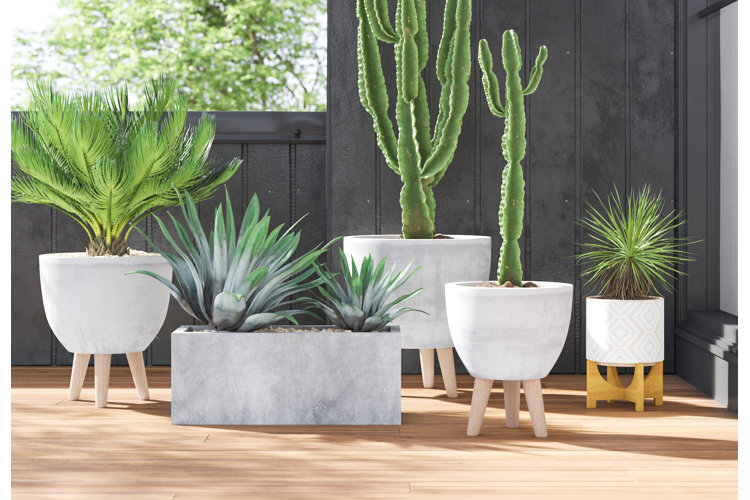 Potted plants in plant room.