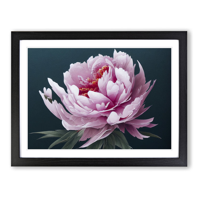 Marvellous Peony Flower - Single Picture Frame Painting, Black, 46cm H x 64cm W x 2cm D