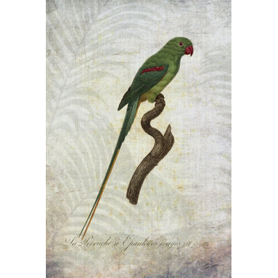 Parrot Jungle III - Wrapped Canvas Print