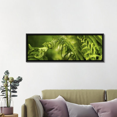 « close-up of multiple image of ferns », reproduction de photo sur toile