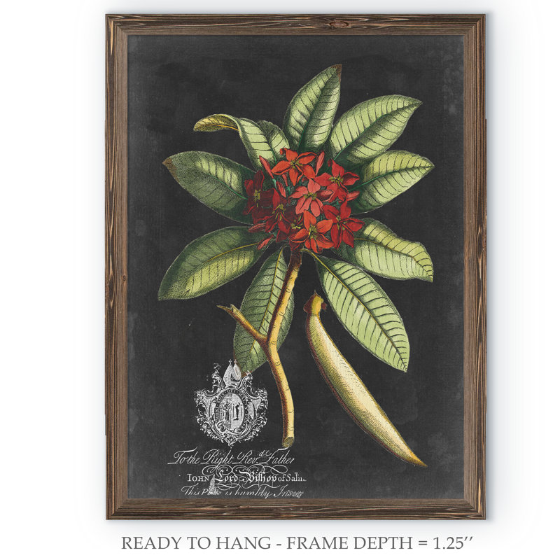 « royal feuillage iii » par paul cezanne-cadre photo, reproduction d’art, H 32 po x l 44 po x P 1,25 po
