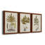 Fern Botanical I - Ensemble de 3 peintures sur toiles encadrées-772660934-772660936