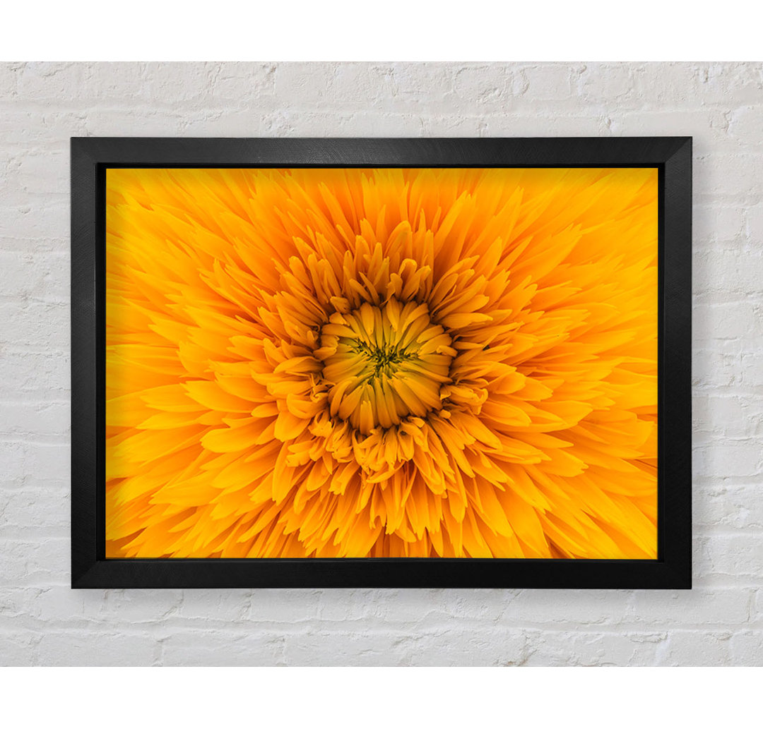 Gorgeous Yellow Flower Delight Gerahmter Druck