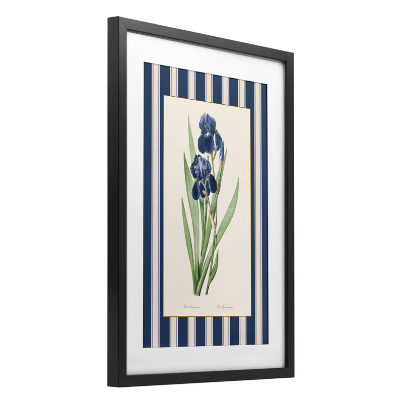 «Iris Study over Stripes», reproduction encadrée sous verre, conception de Corinne Haig, H 20 po x l 14 po, Cadre noir minuit