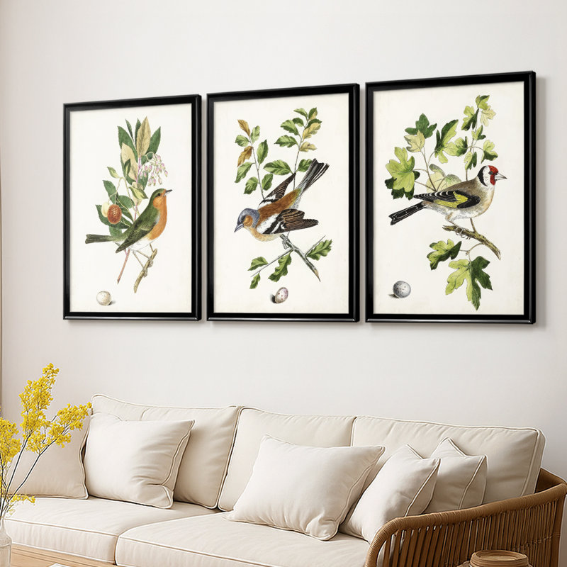 Oiseau antique, botanique et œuf - Toile tendue sur mesure avec châssis encadré - 3 pièces, H 15 po x l 19 po, Noir