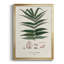" Botanical Society Ferns XII "-88261602-88261603
