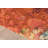 Velva Abstract Orange/Pink/Blue Area Rug-429963972