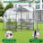 Premium Walk-in Greenhouse with Heavy-Duty Steel Frame & Watering System – Portable Outdoor Garden Hoop House-126201031