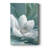 Magnolia -Custom Wrapped Gallery Cavas-117681286