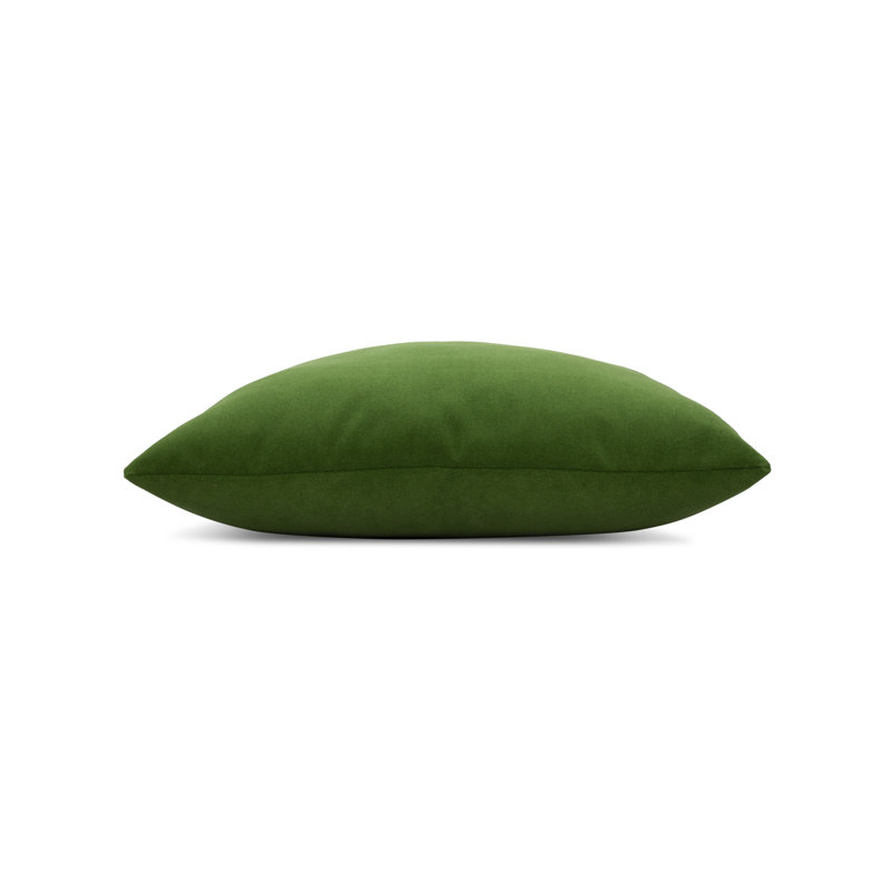 Lush Velvet Performance Pillow Cover & Insert, Ivy, rec