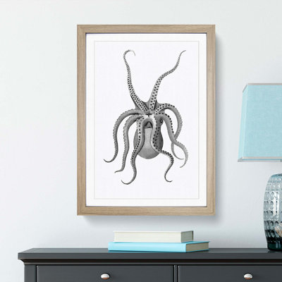 An Octopus in Black & White by George Shaw - Framed Print