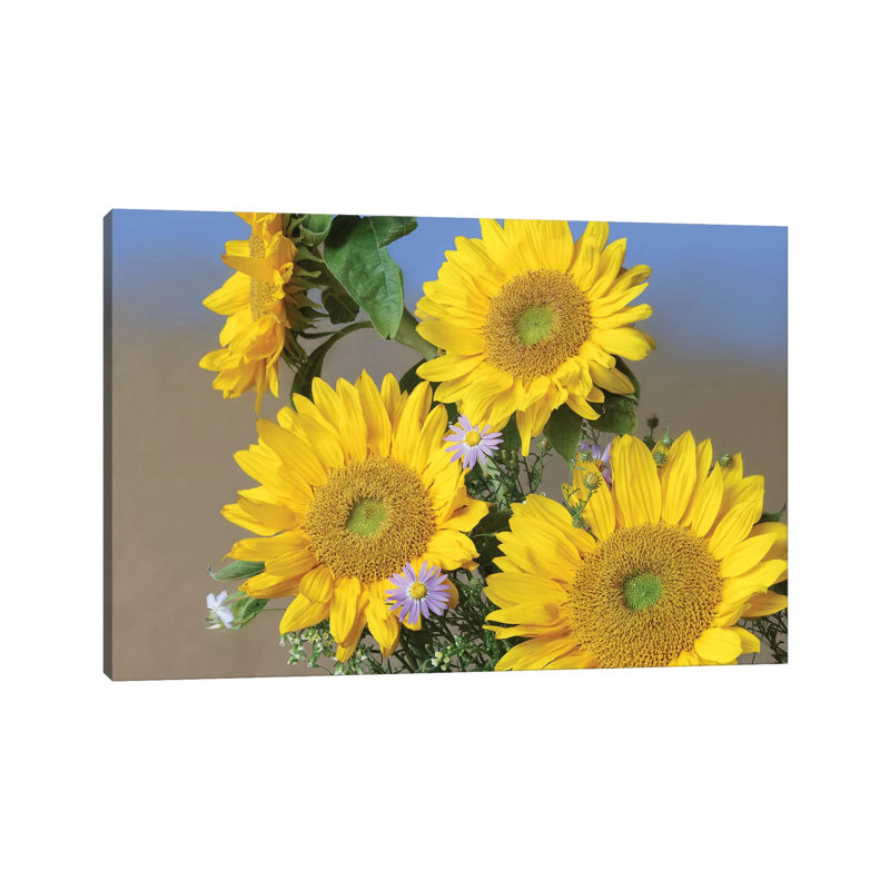 Common Sunflower And Asters, North America II by Tim Fitzharris - Gallery-Wrapped Canvas Giclée on Canvas, Canvas