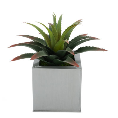 Plante grasse artificielle 7 po en pot