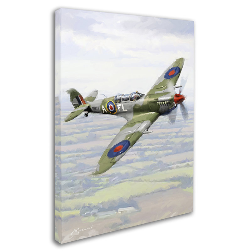 Armand 'Spitfire' Print on Canvas, 47" H x 35" W x 2" D