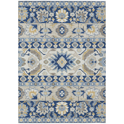 Machine Washable Indoor/Outdoor Chantille ACN2583 Traditional Rug