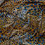 Ardmore Velvet Fabric-1038597139