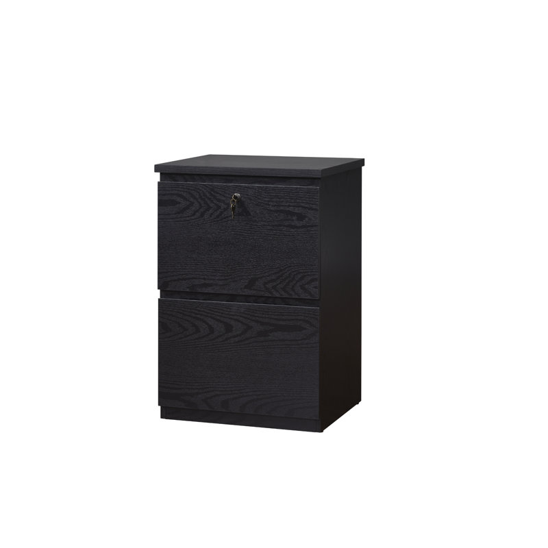 19'' Wide 2 -Drawer File Cabinet, Black
