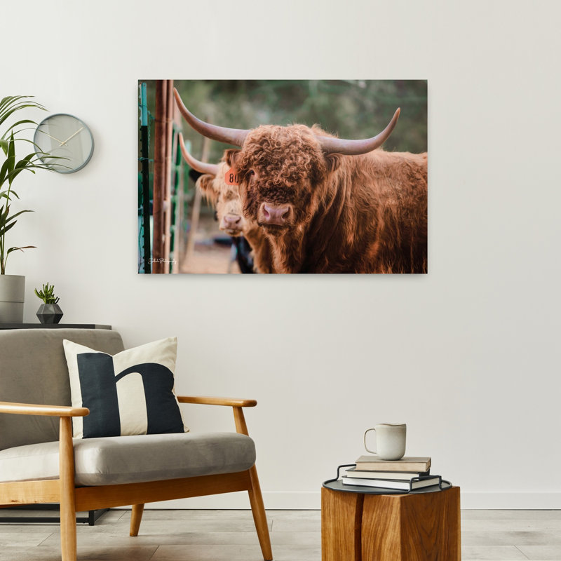 «The Bull», art contemporain abstrait, H 24 po x l 36 po