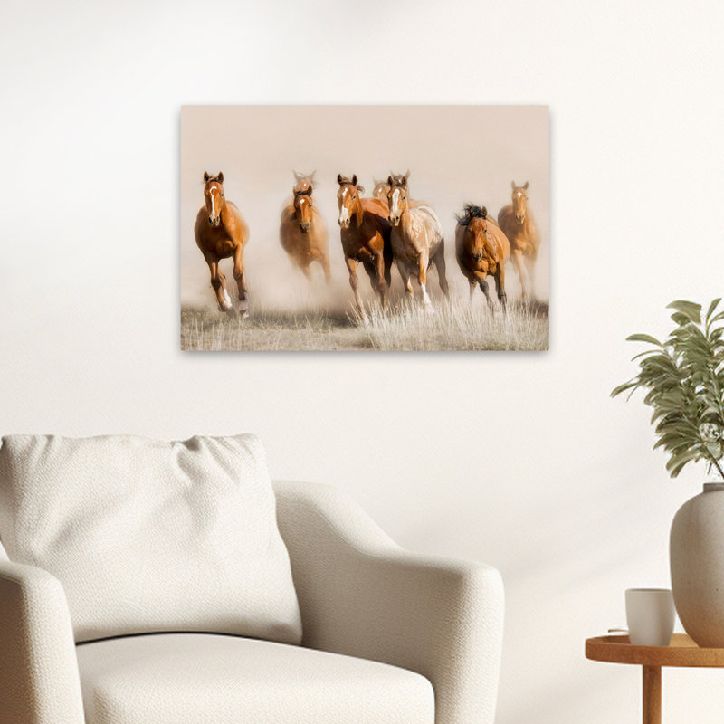 Hors-la-loi - Photographie, animaux, chevaux, art, H 16 po x l 24 po