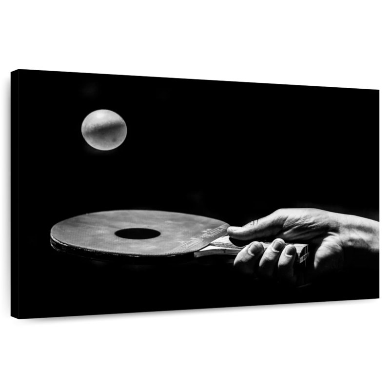 Pratique du tennis de table Sireci, H 32 po x l 48 po