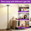 Lampe torchère et de lecture à DEL à intensité variable 71 po avec télécommande, éclairage double face Jernell-884401934