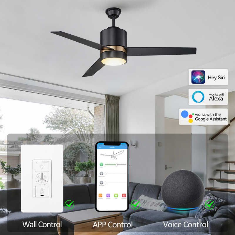 52'' Ceiling Fan with LED Lights, Black, Black