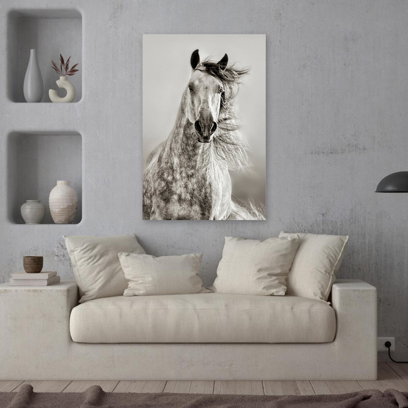 Caballo De Andaluz - Photographie, animaux, chevaux, art, H 36 po x l 24 po