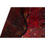 Wool Oriental Area Rug