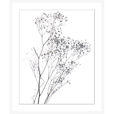 Flowers - Single Picture Frame Print