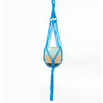 Roxann Hanging Planter