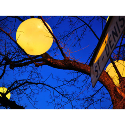 Luminaire suspendu d'extérieur 1 lumière DEL Garber Sky